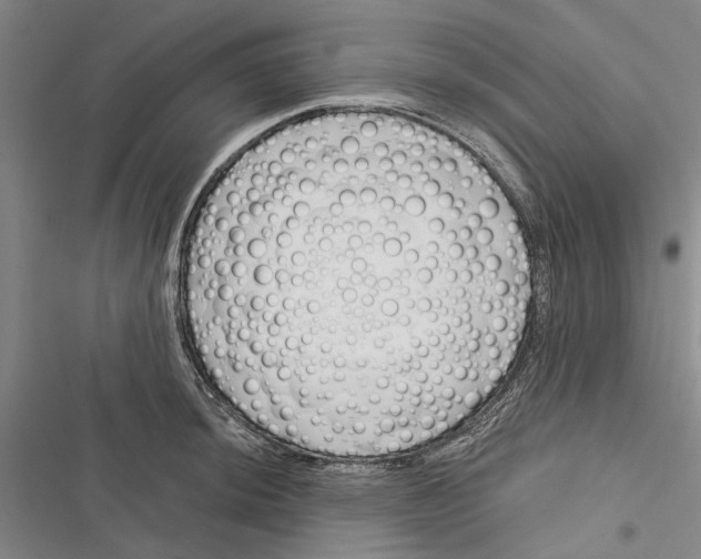 X0000116381044201001131804