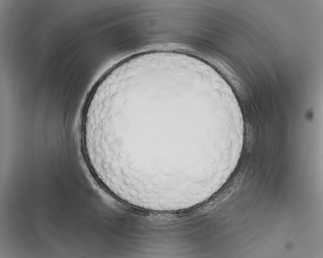 X0000116381046201001131804