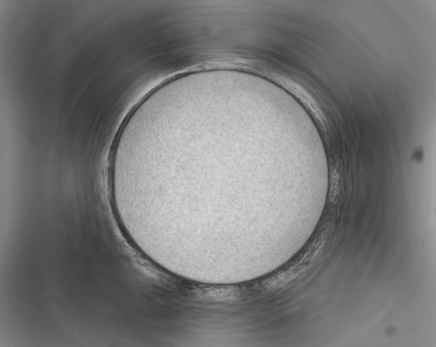 X0000116381047201001131804
