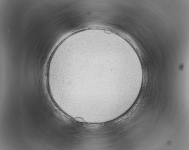 X0000116381048201001131804