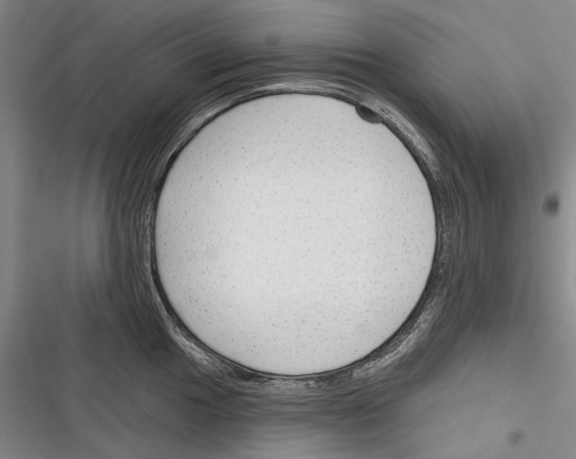 X0000116381049201001131804