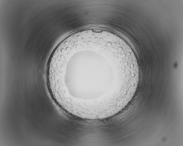 X0000116381050201001131804