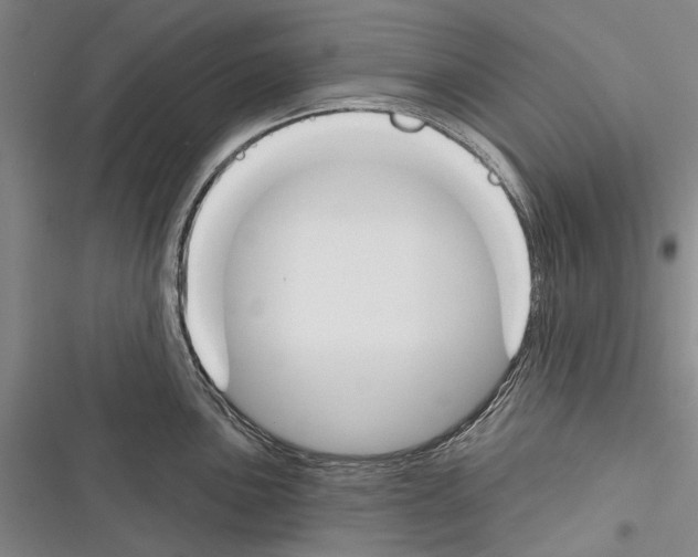 X0000116381051201001131804