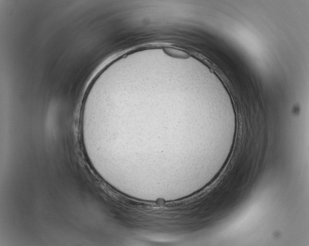 X0000116381052201001131804