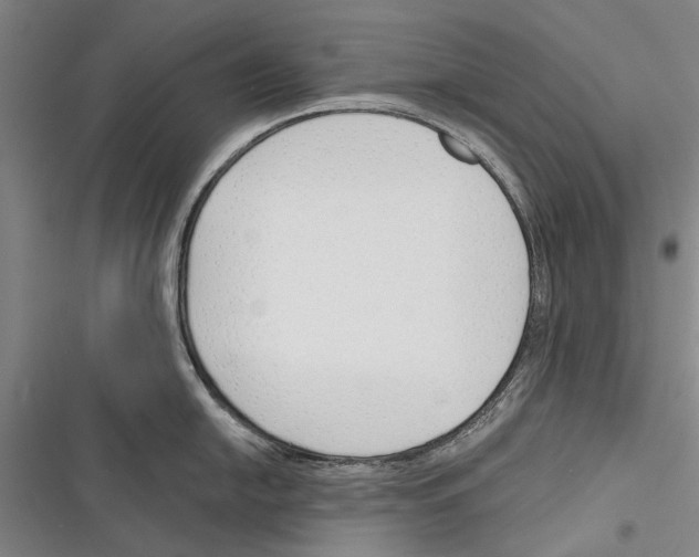 X0000116381054201001131804