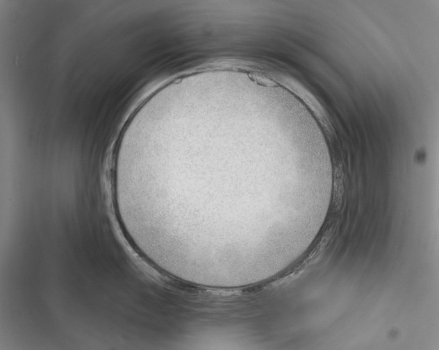 X0000116381055201001131804
