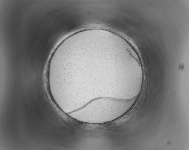 X0000116381056201001131804