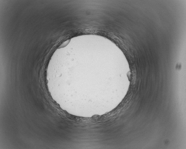 X0000116381057201001131804