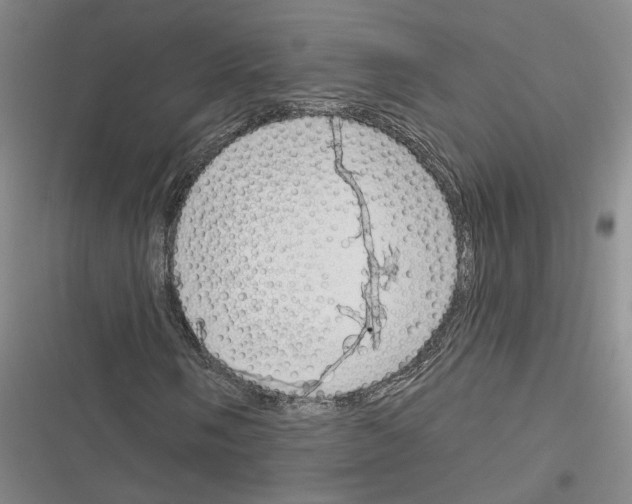 X0000116381058201001131804