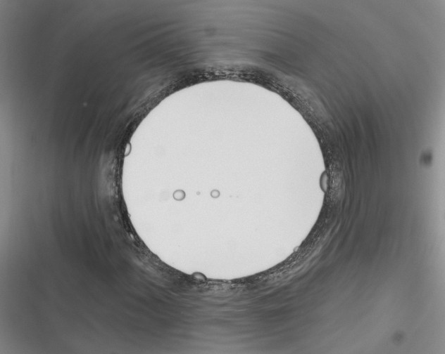 X0000116381060201001131804