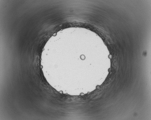 X0000116381061201001131804