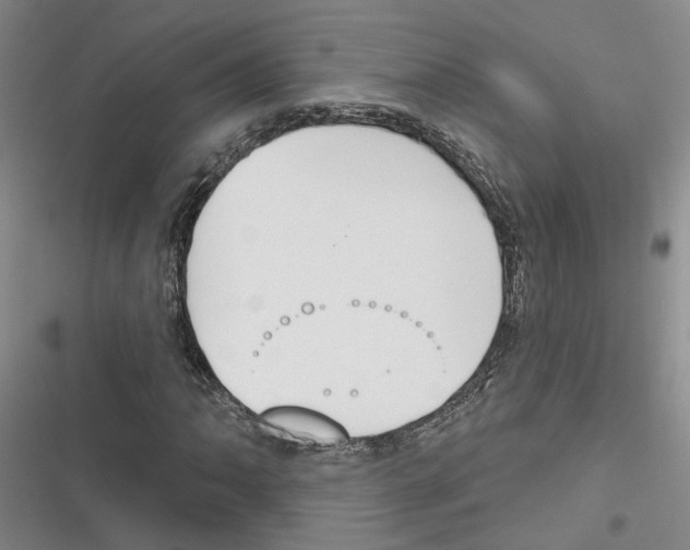 X0000116381062201001131804