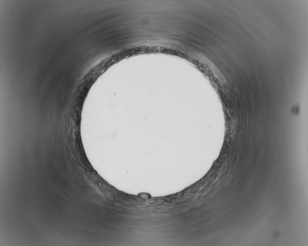X0000116381064201001131804
