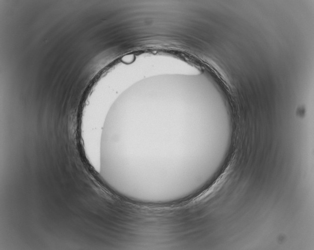 X0000116381065201001131804
