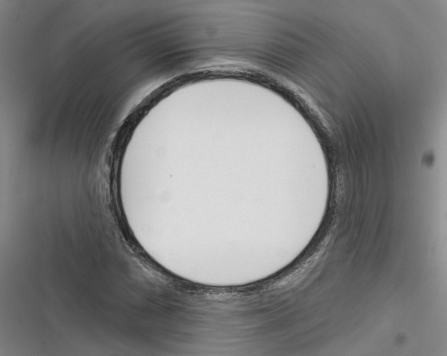 X0000116381066201001131804