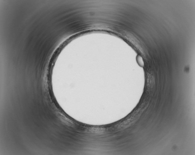 X0000116381068201001131804