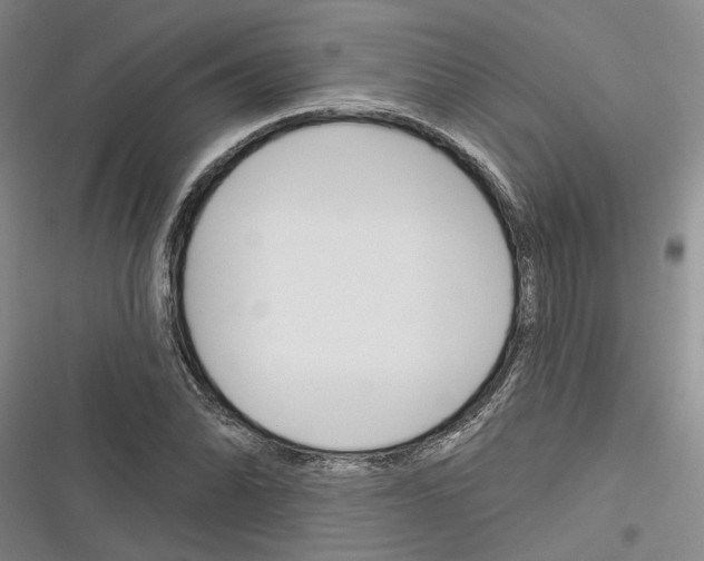 X0000116381070201001131803
