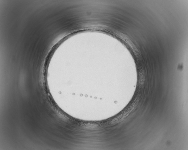 X0000116381071201001131803