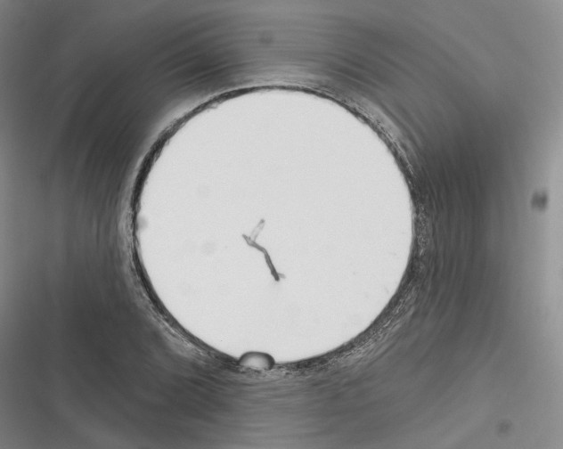 X0000116381072201001131803