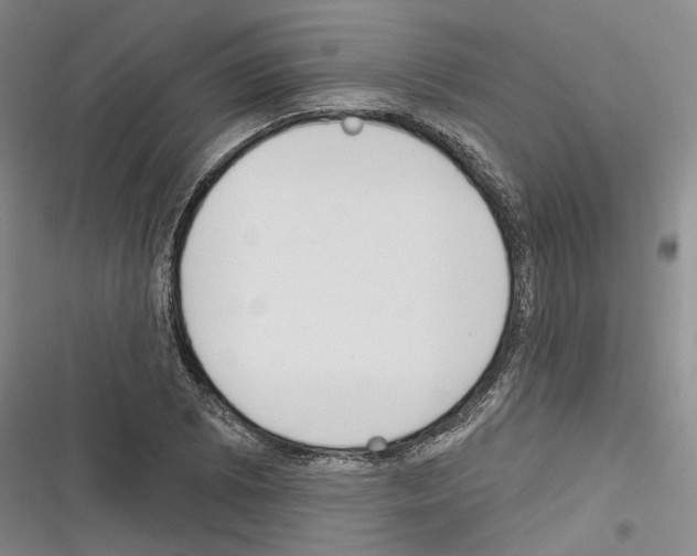 X0000116381073201001131803