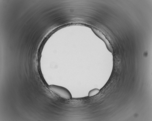 X0000116381076201001131803