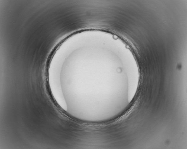 X0000116381077201001131803