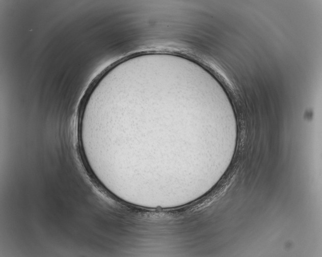 X0000116381079201001131803