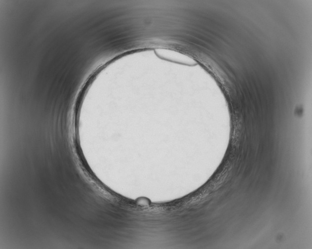 X0000116381080201001131803