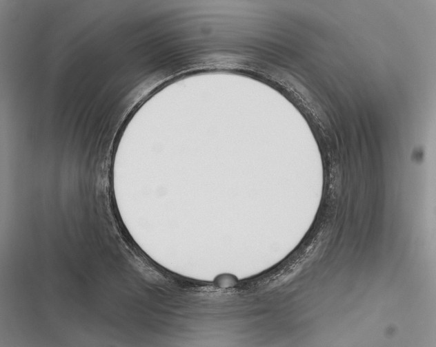 X0000116381081201001131803