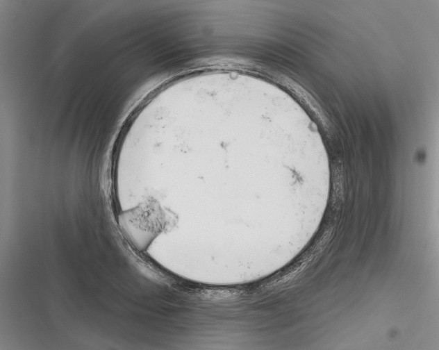 X0000116381082201001131803