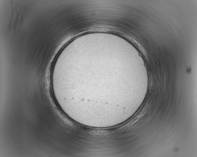 X0000116381083201001131803