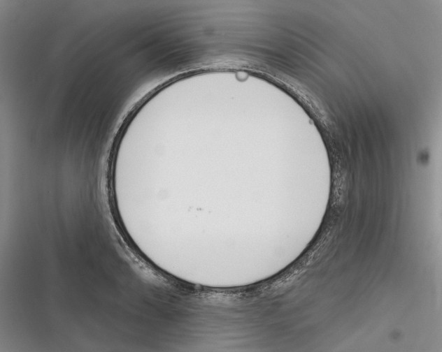 X0000116381086201001131803