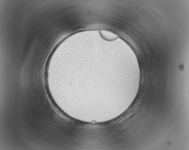 X0000116381087201001131803