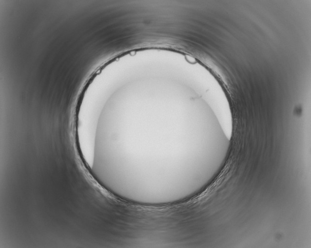 X0000116381088201001131803