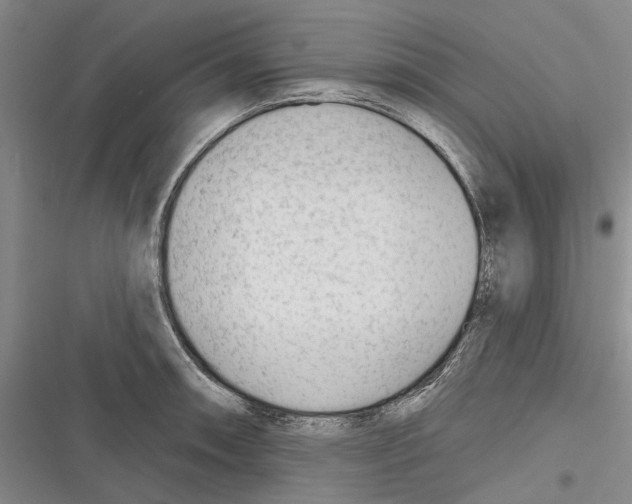 X0000116381090201001131803