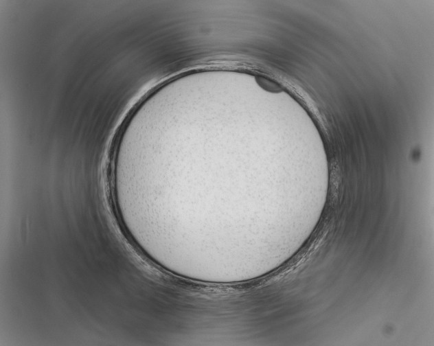 X0000116381091201001131803
