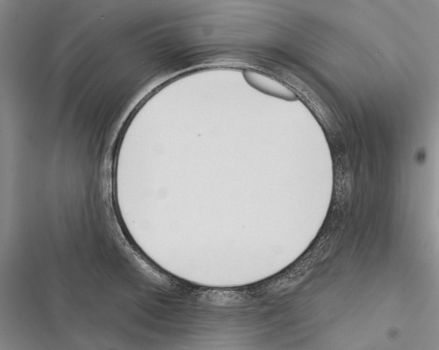 X0000116381092201001131803