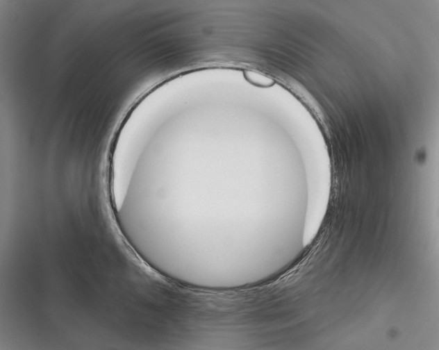 X0000116381096201001131803