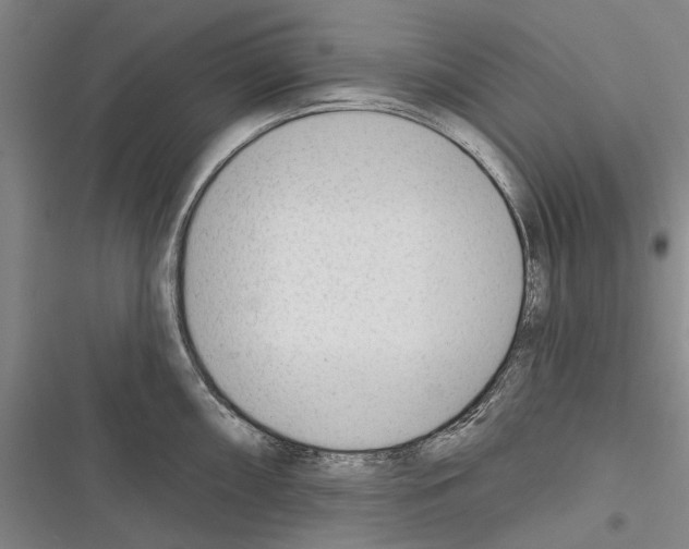 X0000116381098201001131803