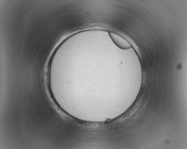 X0000116381099201001131803