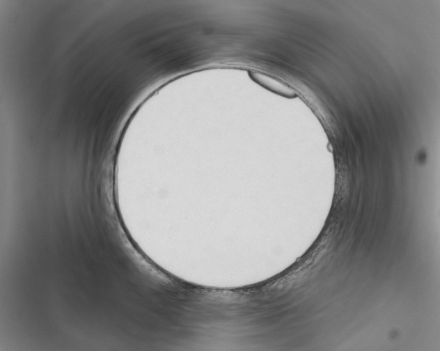X0000116381100201001131803