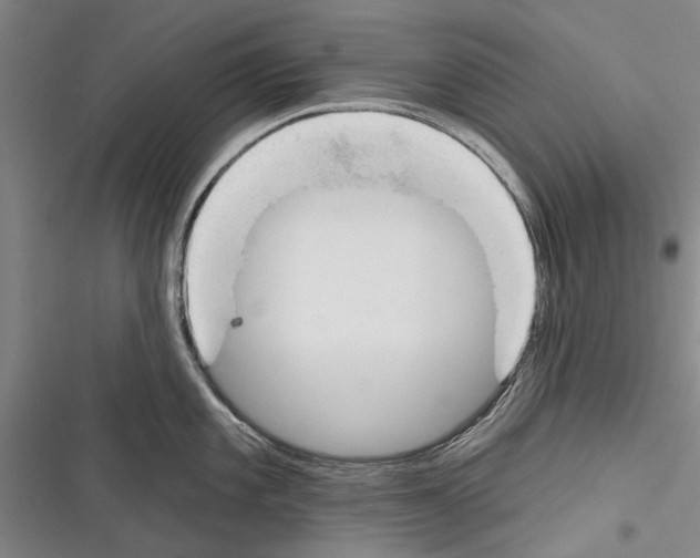 X0000116381101201001131803