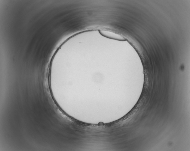X0000116381102201001131803