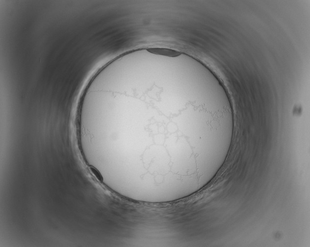 X0000116381104201001131803