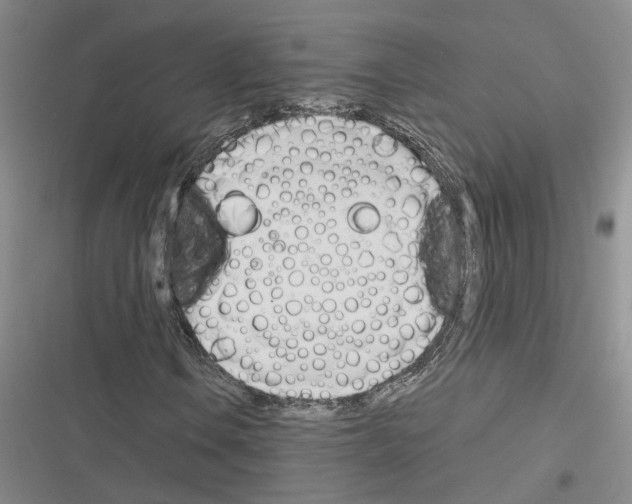 X0000116381106201001131802