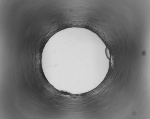 X0000116381107201001131802