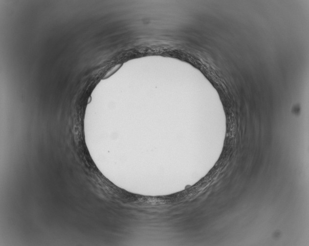X0000116381109201001131802