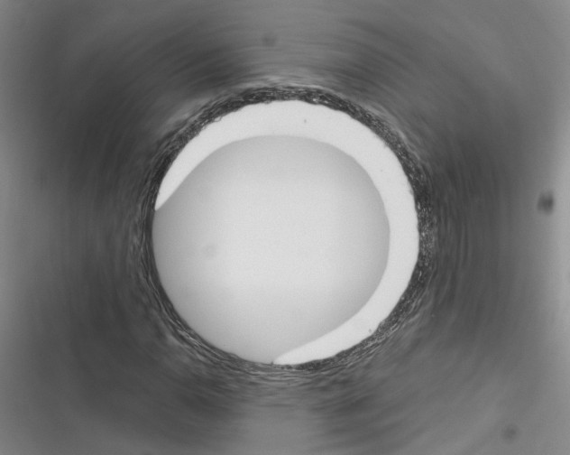X0000116381110201001131802