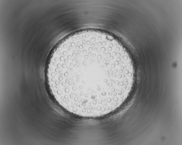 X0000116381113201001131802