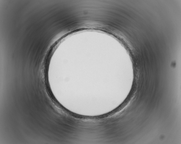 X0000116381114201001131802